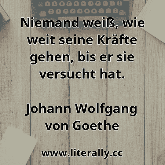 Niemand weiß, wie weit seine Kräfte gehen, bis er sie versucht hat.
Johann Wolfgang von Goethe
