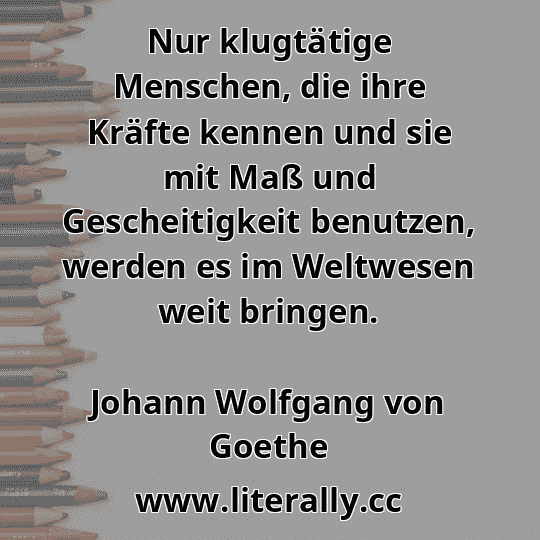 Nur klugtätige Menschen, die ihre Kräfte kennen und sie mit Maß und Gescheitigkeit benutzen, werden es im Weltwesen weit bringen.
Johann Wolfgang von Goethe
