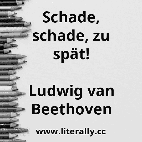 Schade, schade, zu spät!
Ludwig van Beethoven
