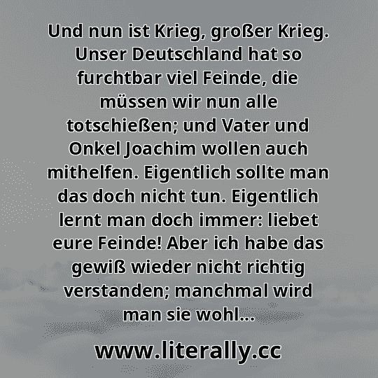 Und nun ist Krieg, großer Krieg. Unser Deutschland hat so furchtbar viel Feinde, die müssen wir nun alle totschießen; und Vater und Onkel Joachim wollen auch mithelfen. Eigentlich sollte man das doch nicht tun. Eigentlich lernt man doch immer: liebet eure Feinde! Aber ich habe das gewiß wieder nicht richtig verstanden; manchmal wird man sie wohl...