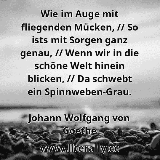 Wie im Auge mit fliegenden Mücken, // So ists mit Sorgen ganz genau, // Wenn wir in die schöne Welt hinein blicken, // Da schwebt ein Spinnweben-Grau.
Johann Wolfgang von Goethe
