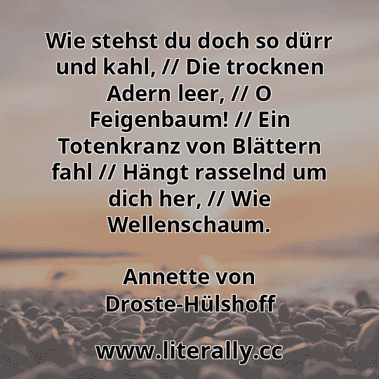 Wie stehst du doch so dürr und kahl, // Die trocknen Adern leer, // O Feigenbaum! // Ein Totenkranz von Blättern fahl // Hängt rasselnd um dich her, // Wie Wellenschaum.
Annette von Droste-Hülshoff
