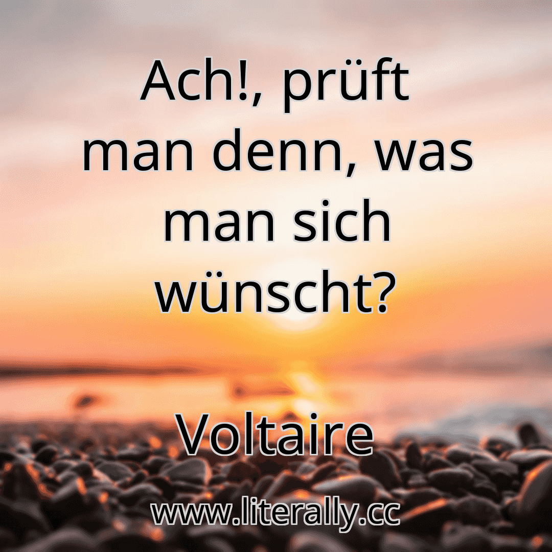 Ach!, prüft man denn, was man sich wünscht?
Voltaire
