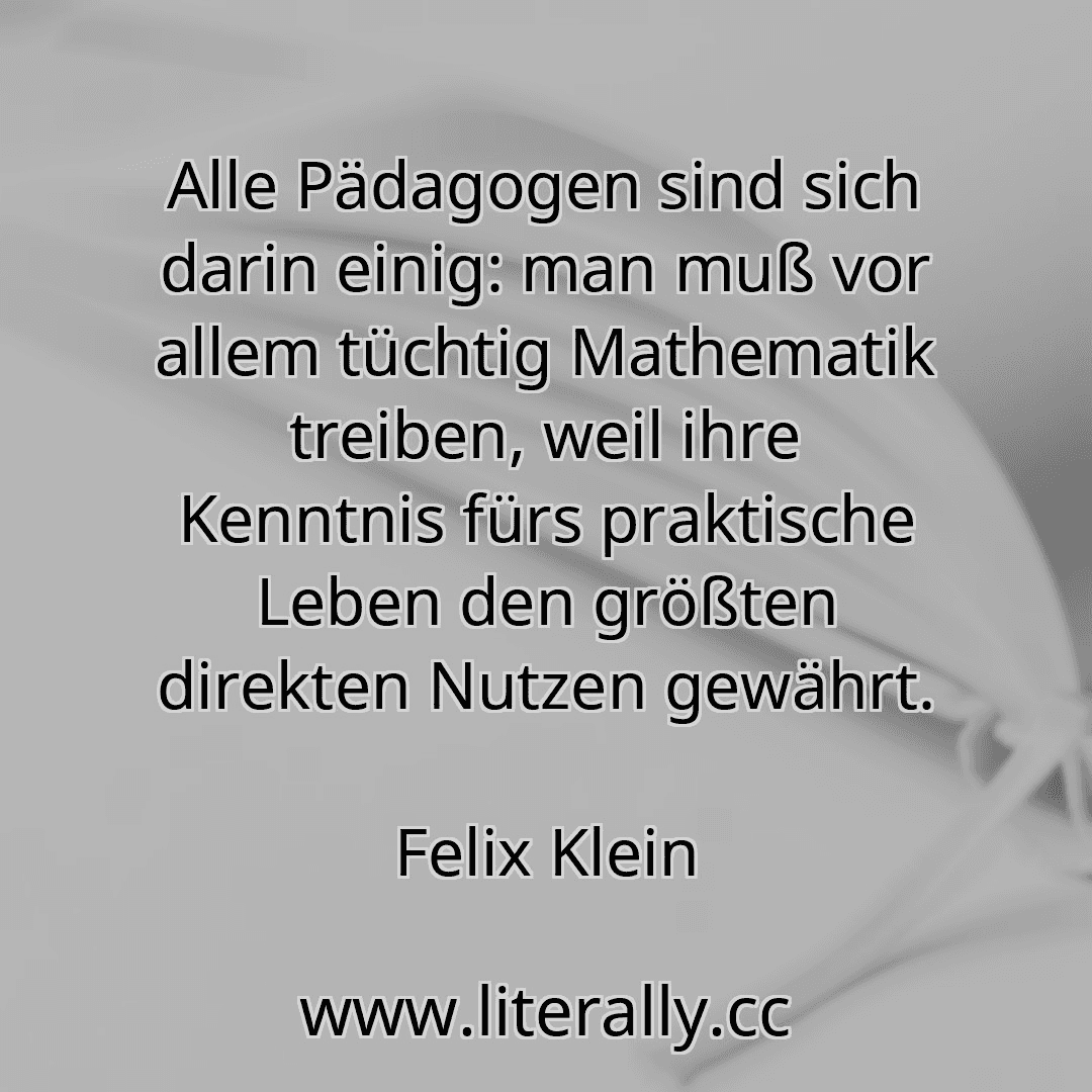 Alle Pädagogen sind sich darin einig: man muß vor allem tüchtig Mathematik treiben, weil ihre Kenntnis fürs praktische Leben den größten direkten Nutzen gewährt.
Felix Klein
