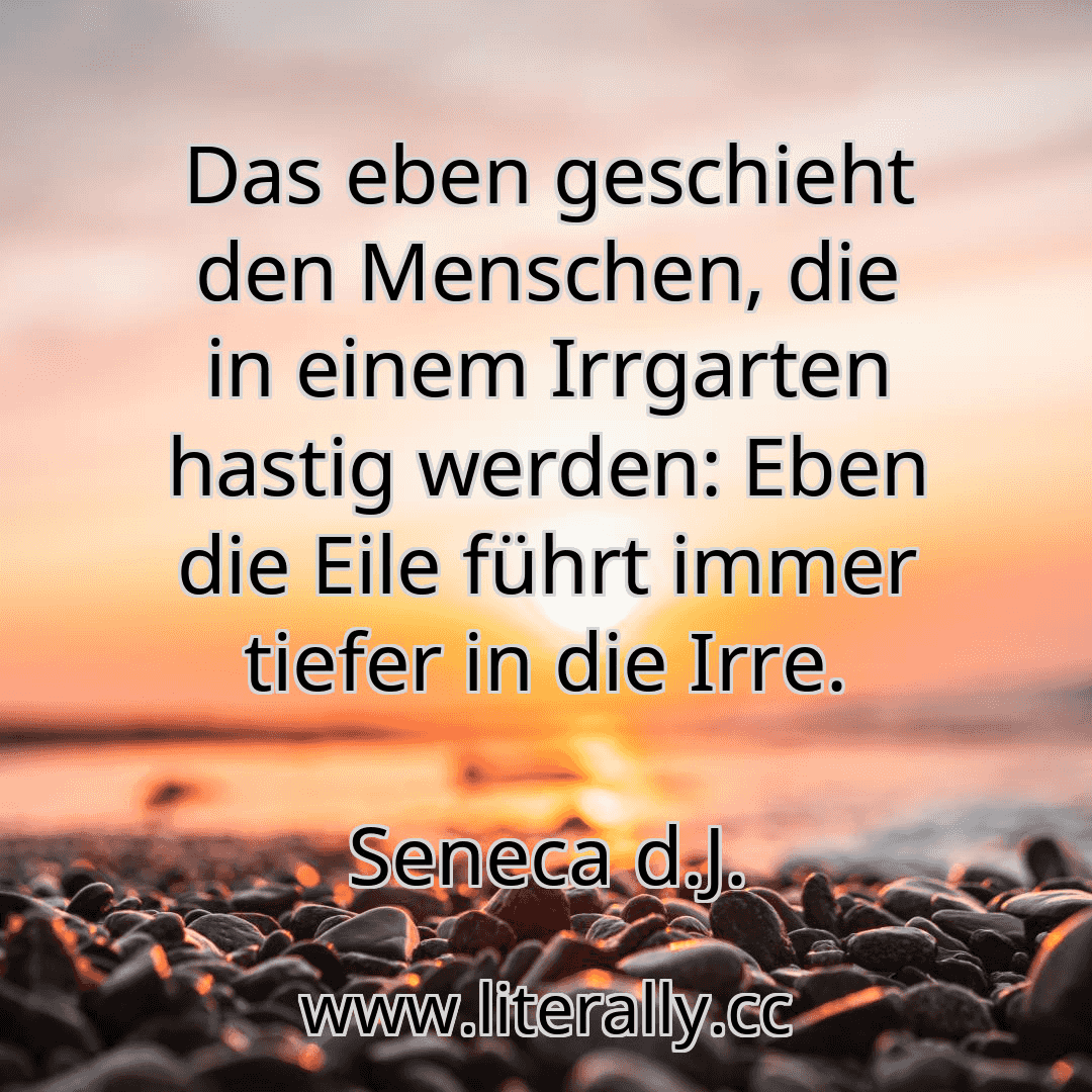 Das eben geschieht den Menschen, die in einem Irrgarten hastig werden: Eben die Eile führt immer tiefer in die Irre.
Seneca d.J.
