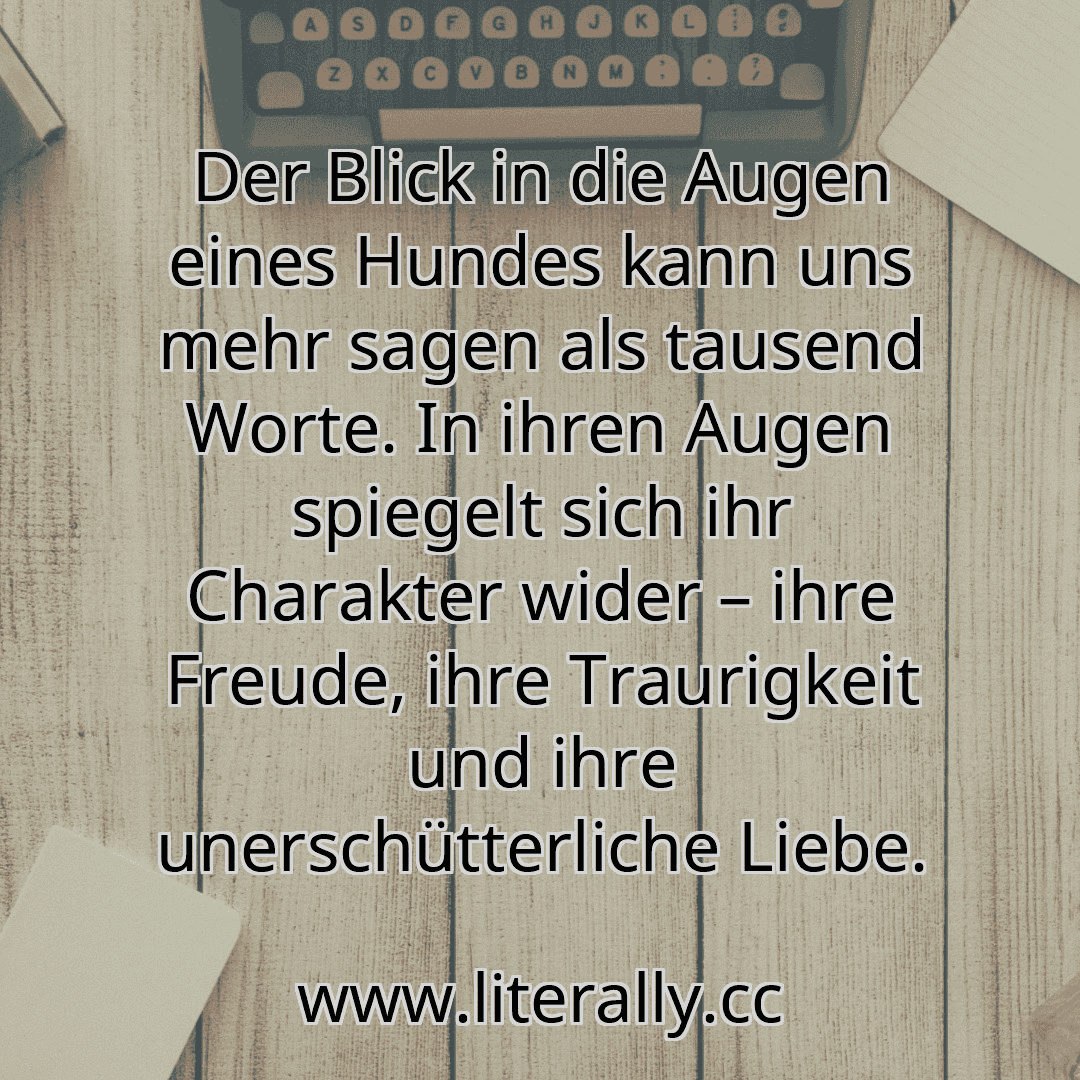 Der Blick in die Augen eines Hundes kann uns mehr sagen als tausend Worte. In ihren Augen spiegelt sich ihr Charakter wider – ihre Freude, ihre Traurigkeit und ihre unerschütterliche Liebe.
