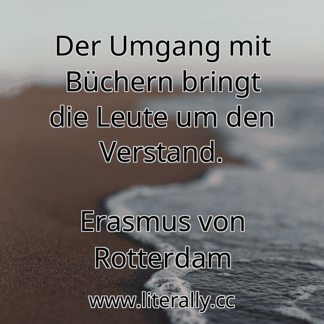 Der Umgang mit Büchern bringt die Leute um den Verstand.
Erasmus von Rotterdam
