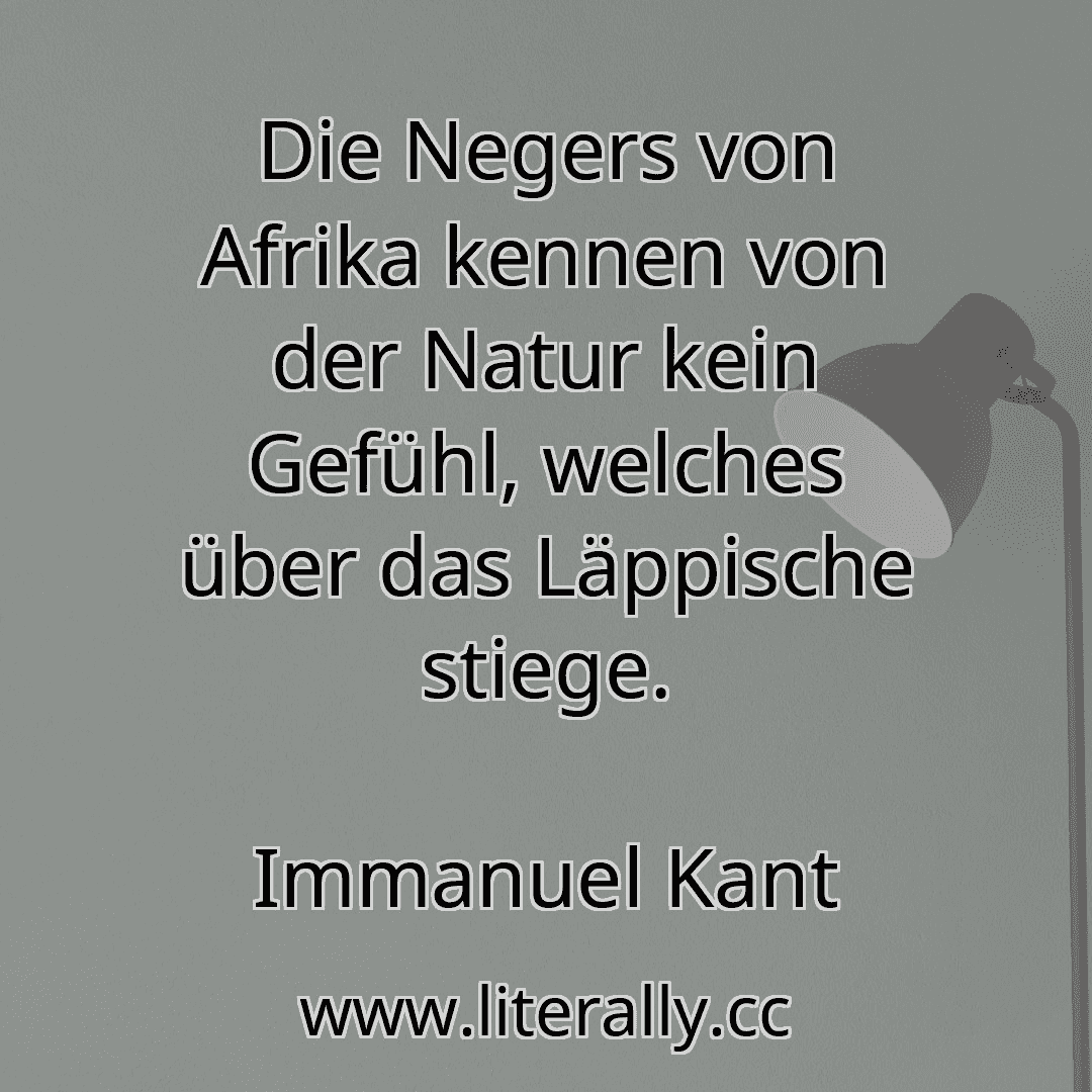 Die Negers von Afrika kennen von der Natur kein Gefühl, welches über das Läppische stiege.
Immanuel Kant

