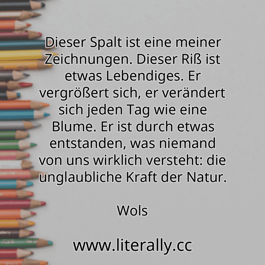 Dieser Spalt ist eine meiner Zeichnungen. Dieser Riß ist etwas Lebendiges. Er vergrößert sich, er verändert sich jeden Tag wie eine Blume. Er ist durch etwas entstanden, was niemand von uns wirklich versteht: die unglaubliche Kraft der Natur.
Wols
