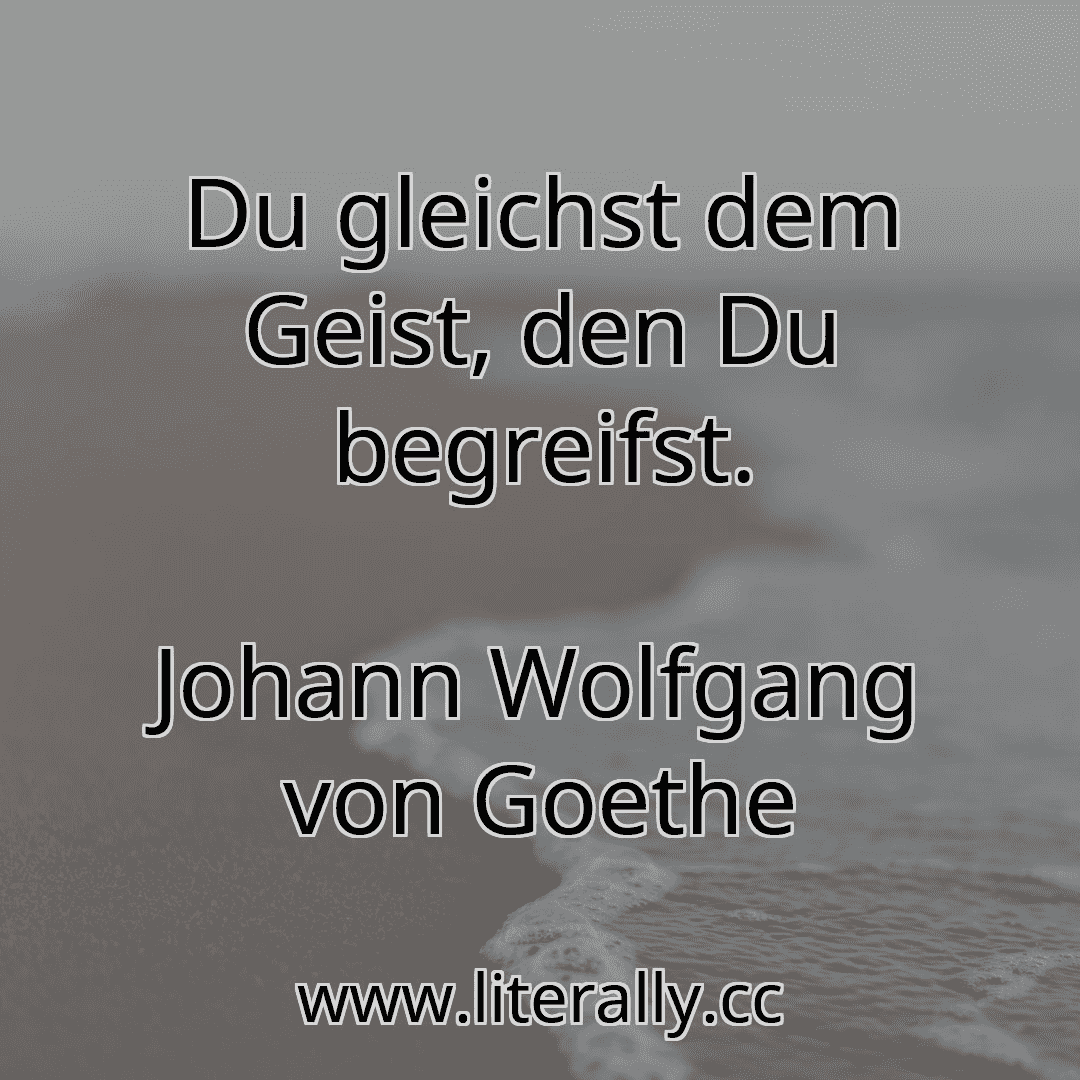 Du gleichst dem Geist, den Du begreifst.
Johann Wolfgang von Goethe
