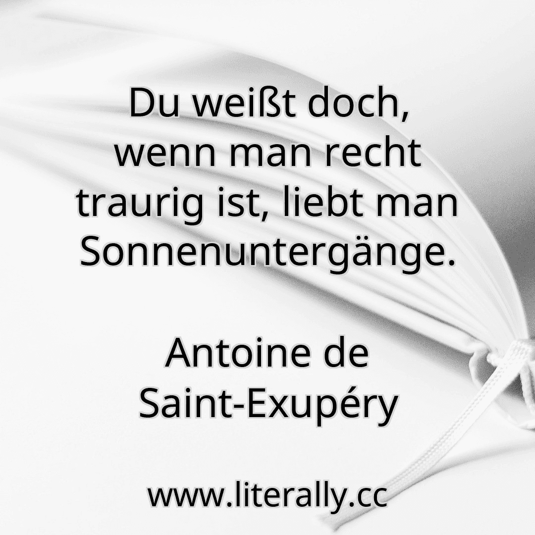 Du weißt doch, wenn man recht traurig ist, liebt man Sonnenuntergänge.
Antoine de Saint-Exupéry

