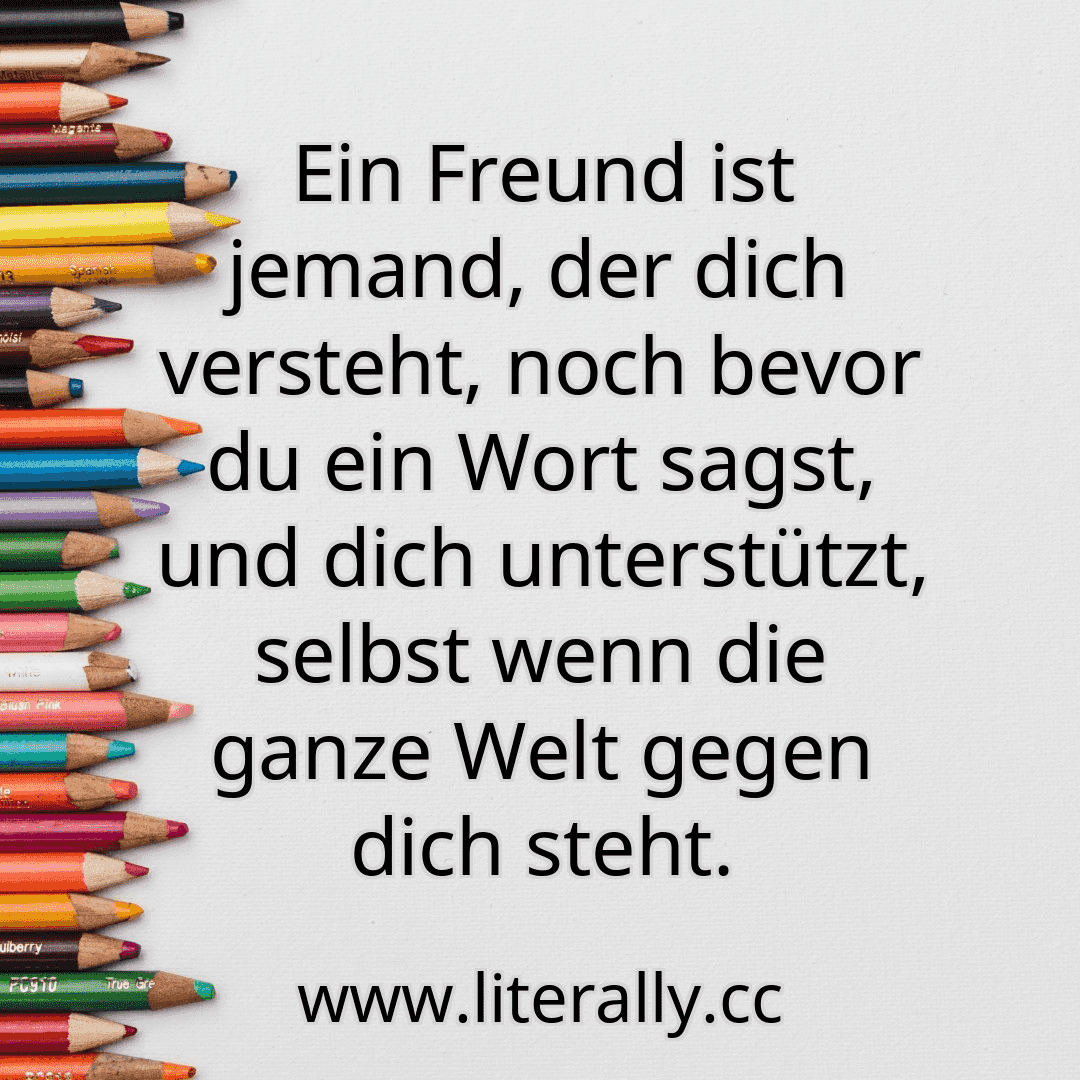 Ein Freund ist jemand, der dich versteht, noch bevor du ein Wort sagst, und dich unterstützt, selbst wenn die ganze Welt gegen dich steht.
