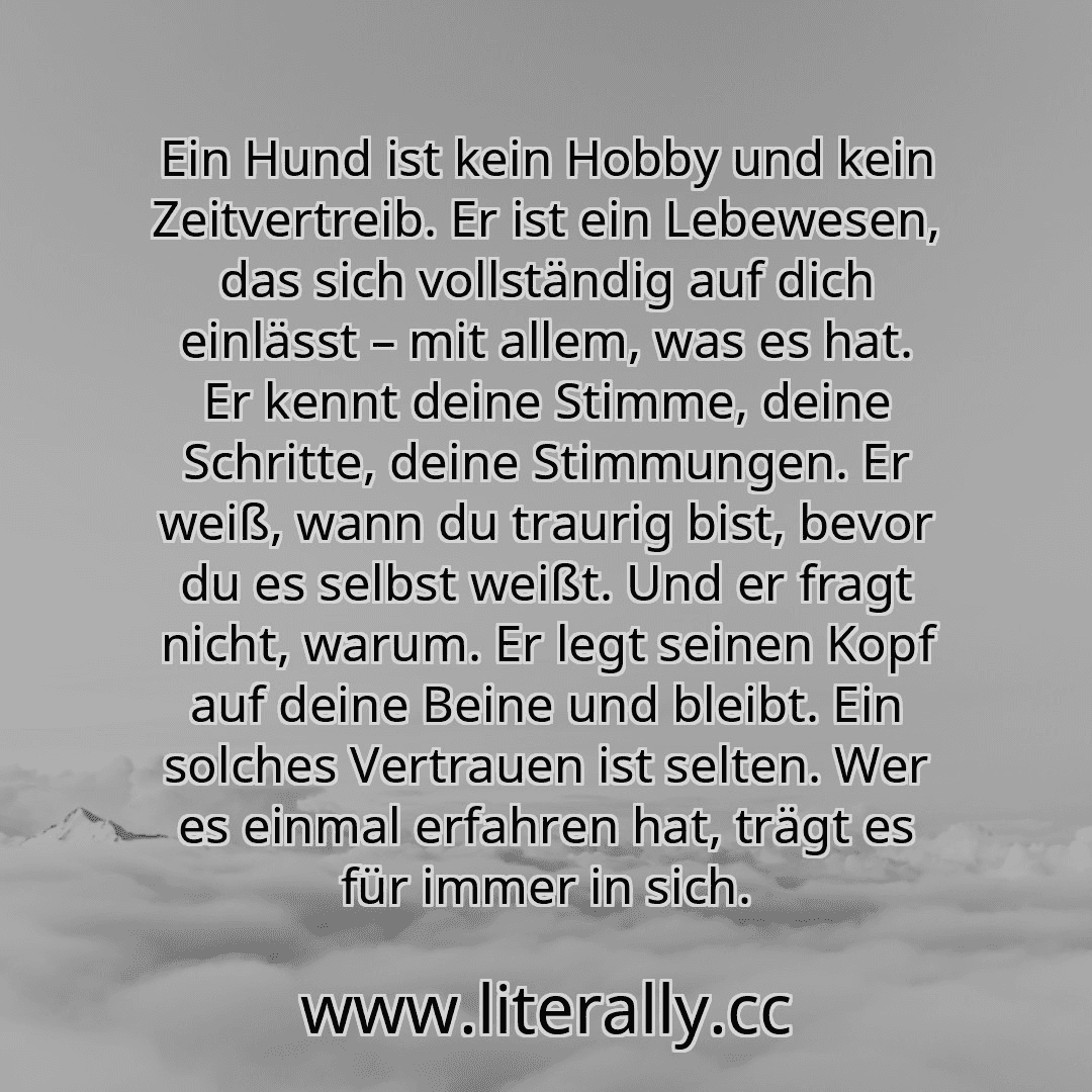 Ein Hund ist kein Hobby und kein Zeitvertreib. Er ist ein Lebewesen, das sich vollständig auf dich einlässt – mit allem, was es hat. Er kennt deine Stimme, deine Schritte, deine Stimmungen. Er weiß, wann du traurig bist, bevor du es selbst weißt. Und er fragt nicht, warum. Er legt seinen Kopf auf deine Beine und bleibt. Ein solches Vertrauen ist selten. Wer es einmal erfahren hat, trägt es für imm...