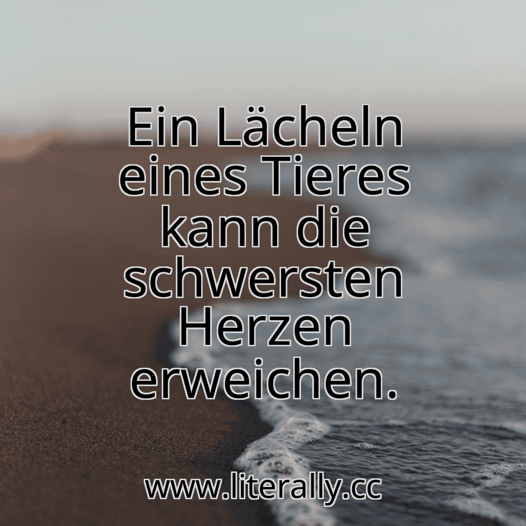 Ein Lächeln eines Tieres kann die schwersten Herzen erweichen.
