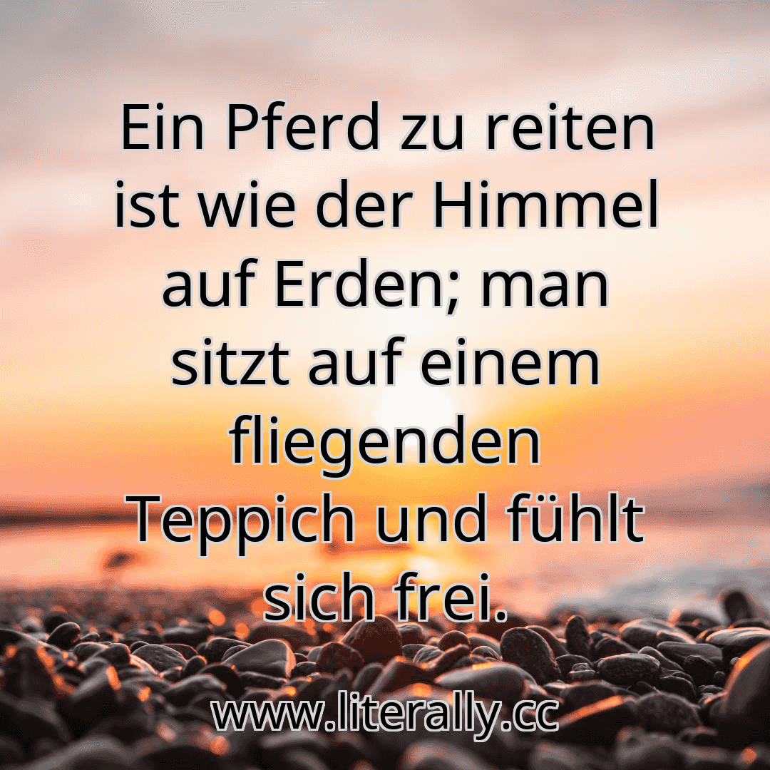Ein Pferd zu reiten ist wie der Himmel auf Erden; man sitzt auf einem fliegenden Teppich und fühlt sich frei.
