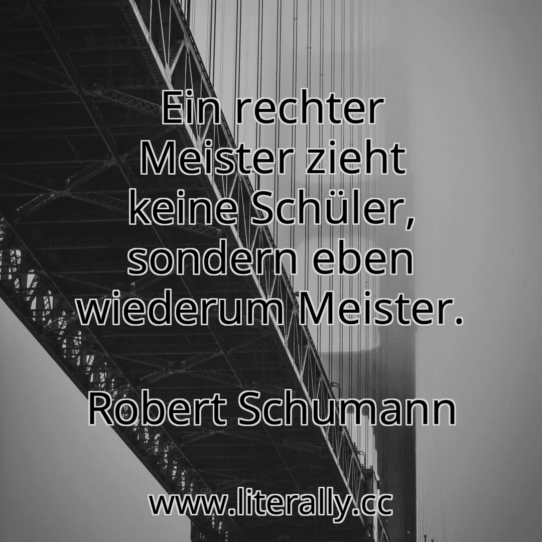 Ein rechter Meister zieht keine Schüler, sondern eben wiederum Meister.
Robert Schumann
