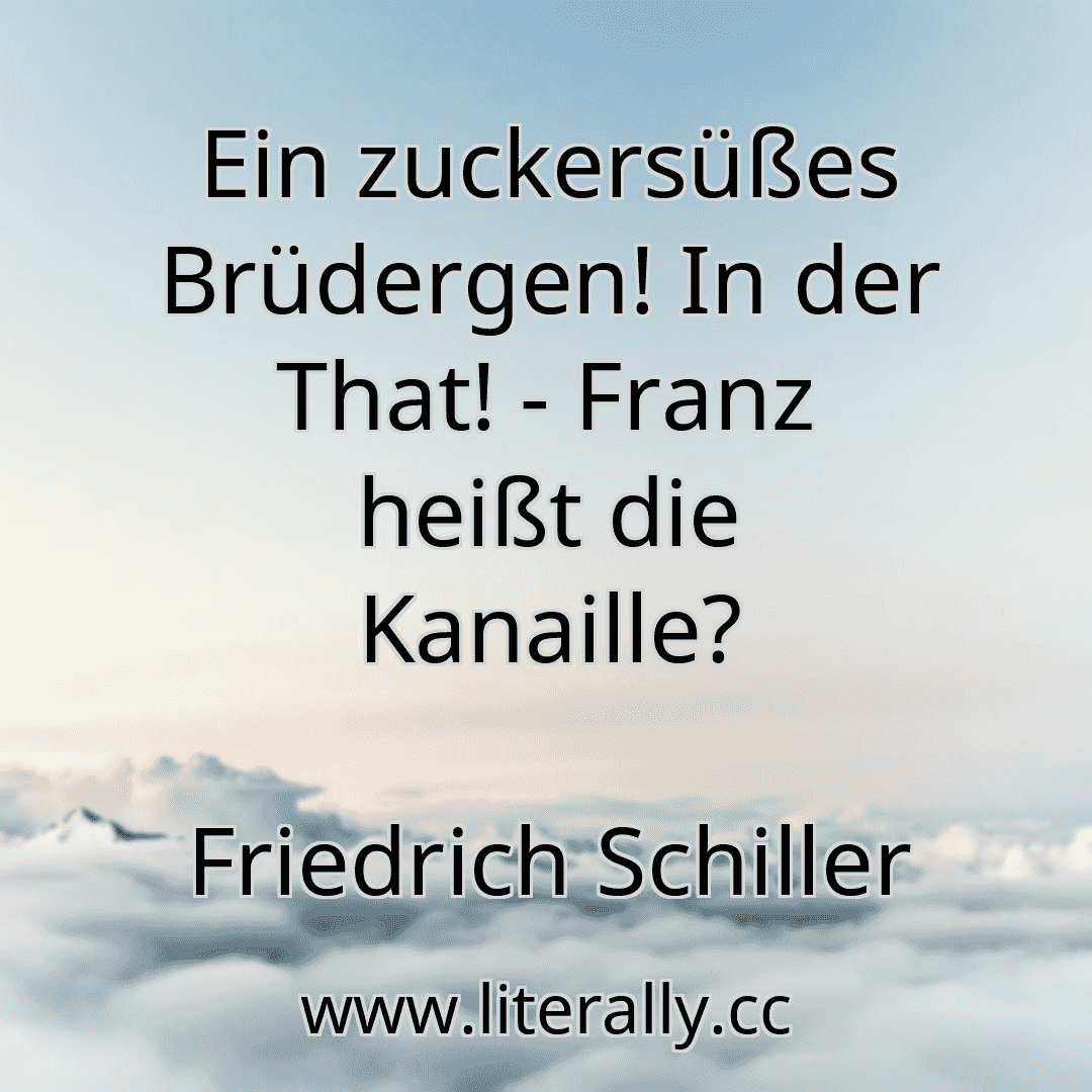 Ein zuckersüßes Brüdergen! In der That! - Franz heißt die Kanaille?
Friedrich Schiller
