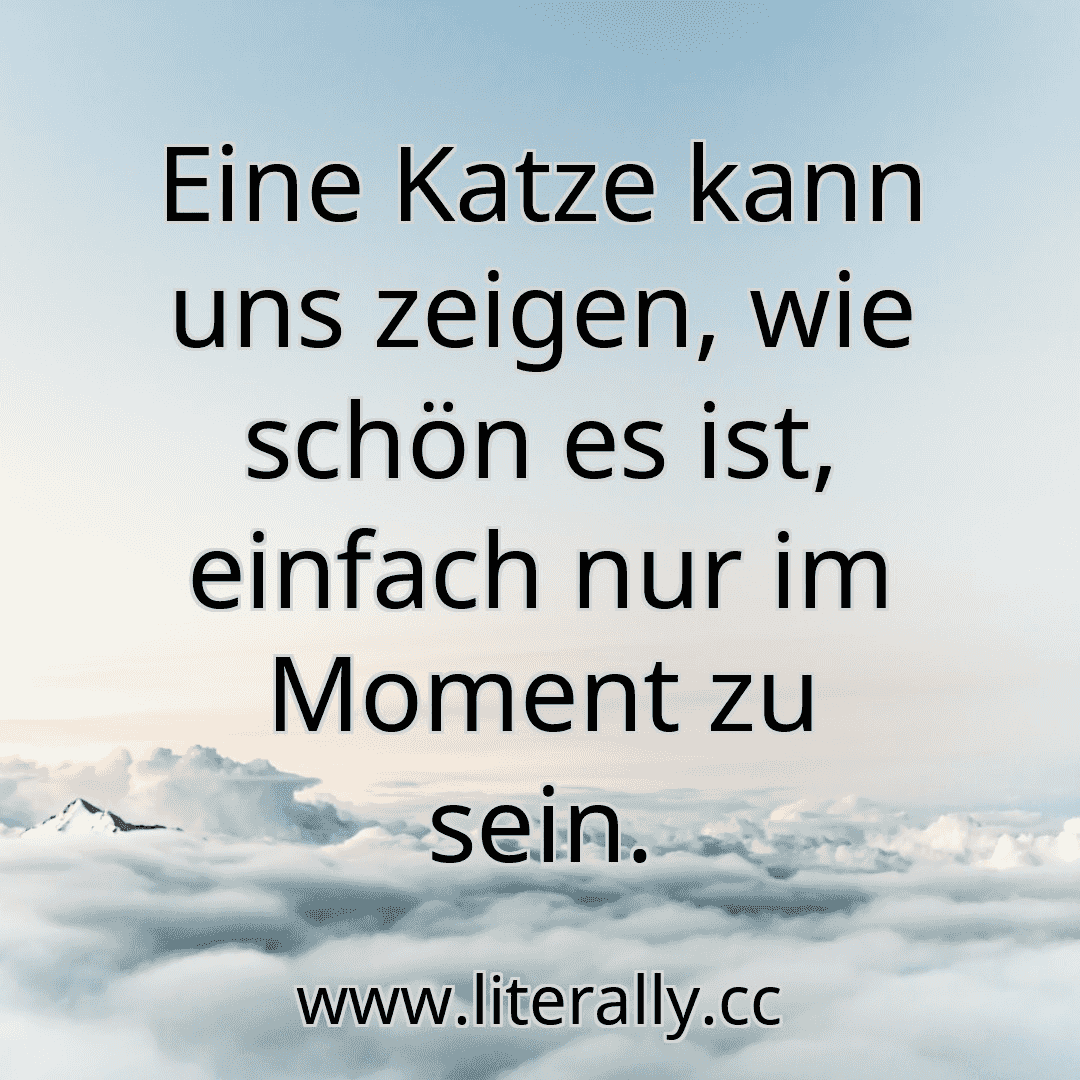 Eine Katze kann uns zeigen, wie schön es ist, einfach nur im Moment zu sein.
