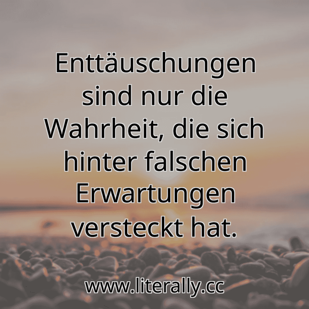 Enttäuschungen sind nur die Wahrheit, die sich hinter falschen Erwartungen versteckt hat.
