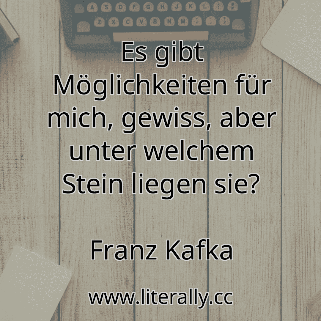 Es gibt Möglichkeiten für mich, gewiss, aber unter welchem Stein liegen sie?
Franz Kafka
