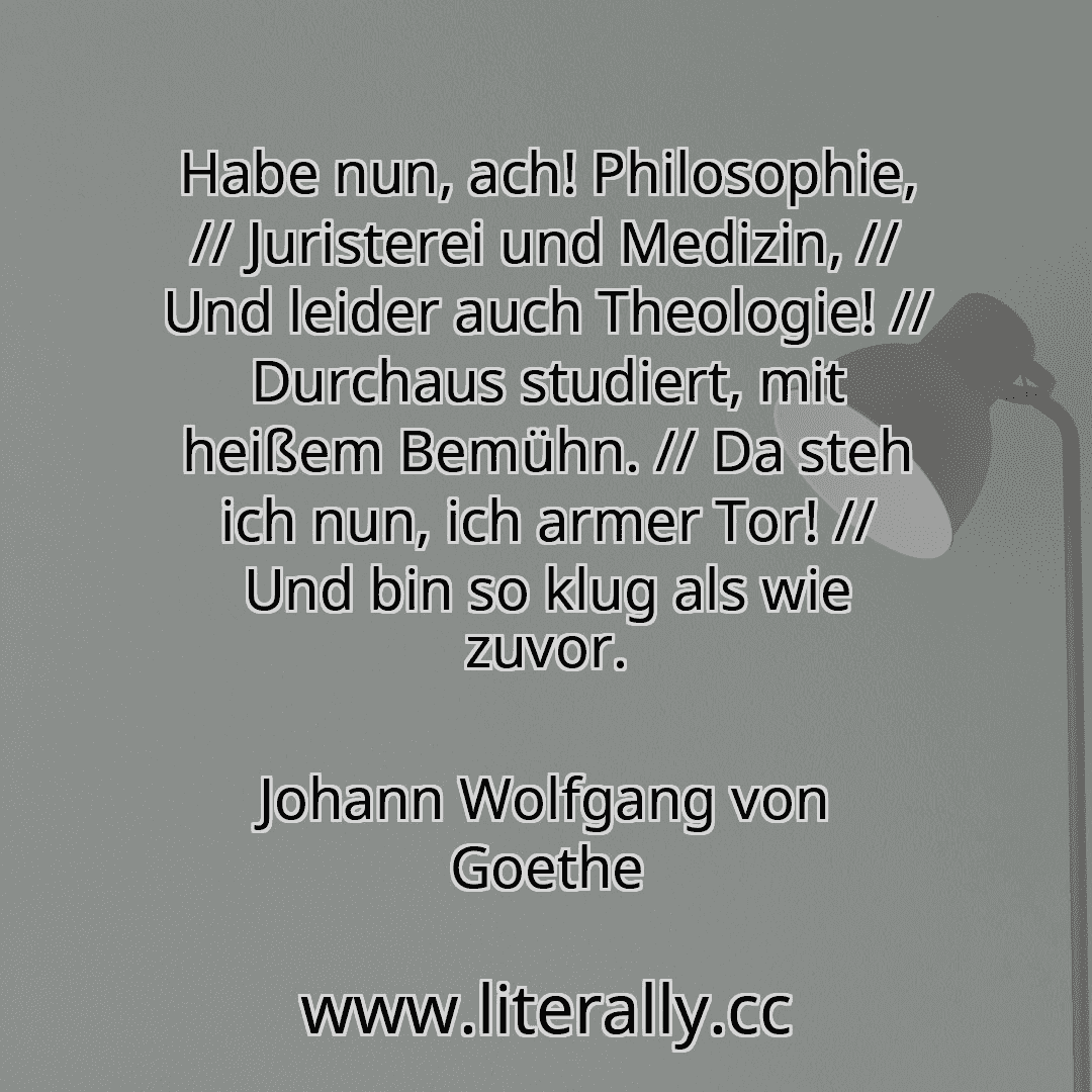 Habe nun, ach! Philosophie, // Juristerei und Medizin, // Und leider auch Theologie! // Durchaus studiert, mit heißem Bemühn. // Da steh ich nun, ich armer Tor! // Und bin so klug als wie zuvor.
Johann Wolfgang von Goethe
