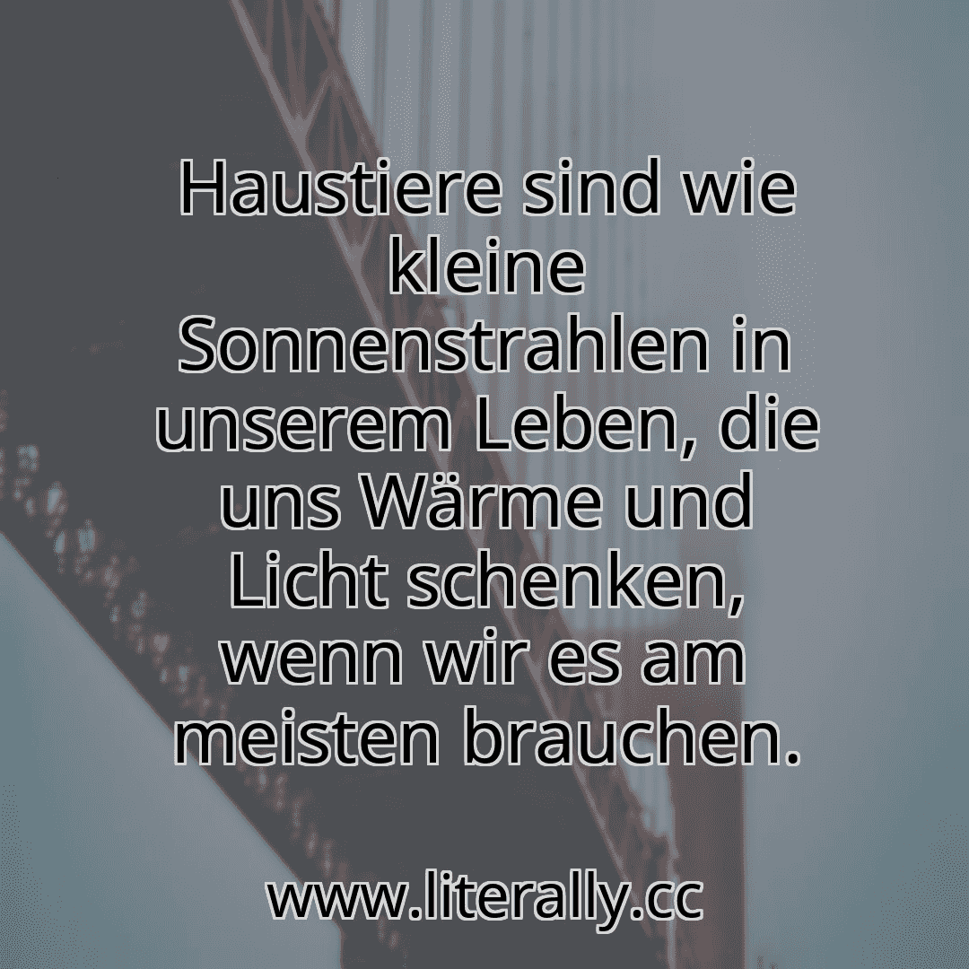 Haustiere sind wie kleine Sonnenstrahlen in unserem Leben, die uns Wärme und Licht schenken, wenn wir es am meisten brauchen.

