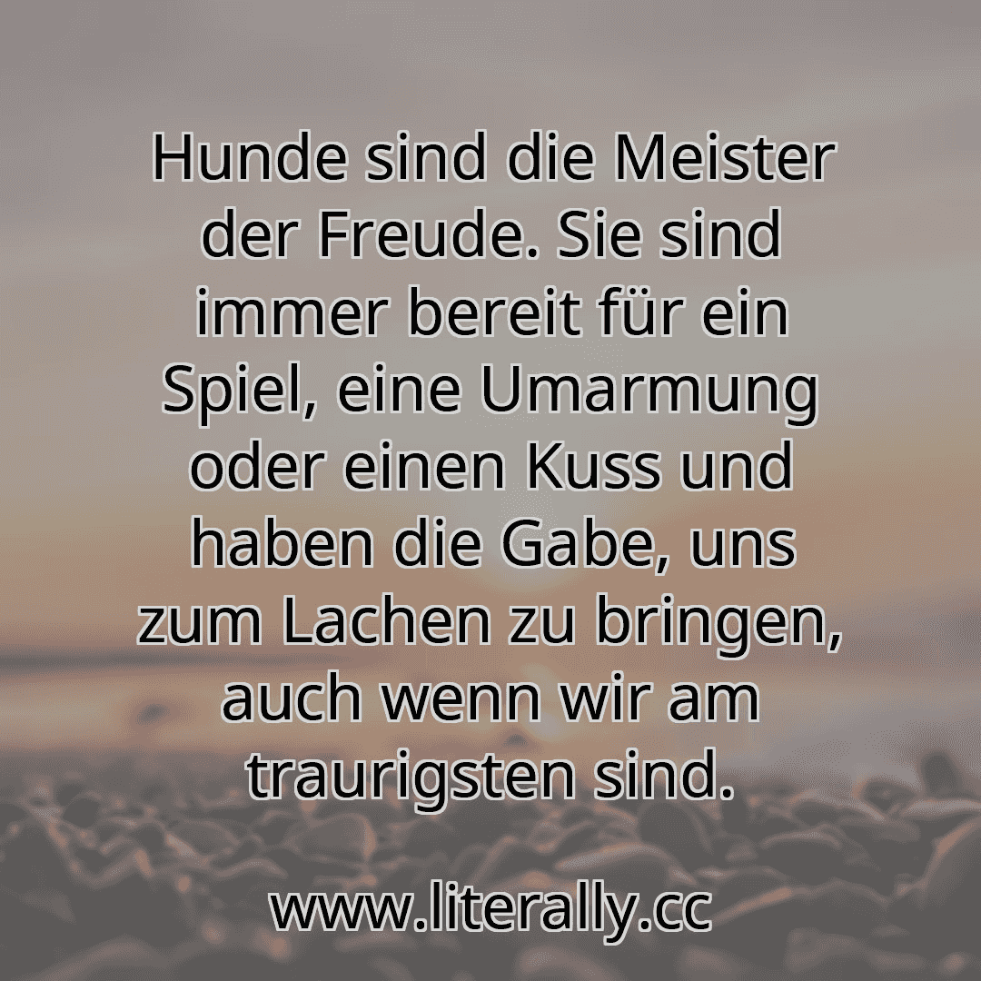 Hunde sind die Meister der Freude. Sie sind immer bereit für ein Spiel, eine Umarmung oder einen Kuss und haben die Gabe, uns zum Lachen zu bringen, auch wenn wir am traurigsten sind.
