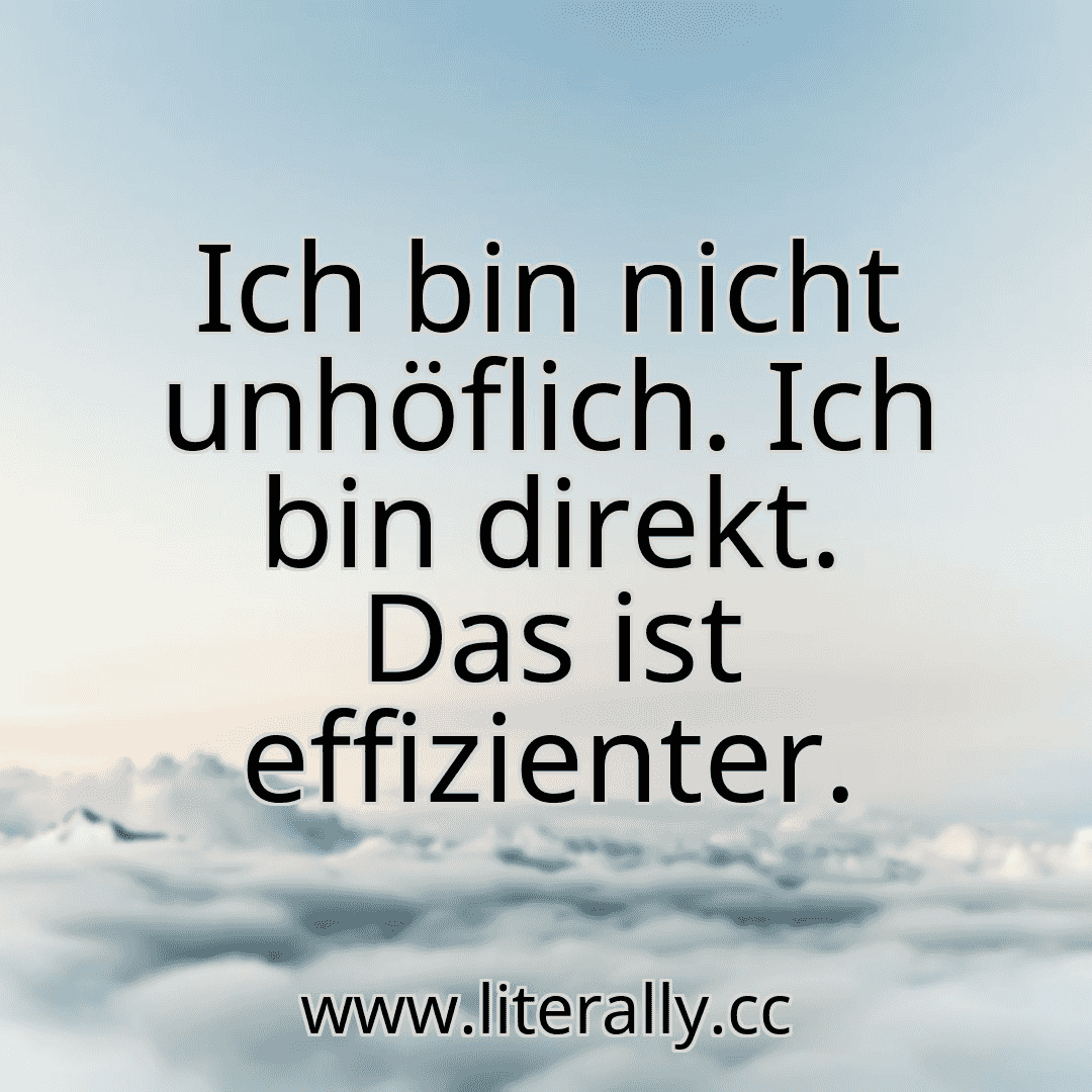 Ich bin nicht unhöflich. Ich bin direkt. Das ist effizienter.
