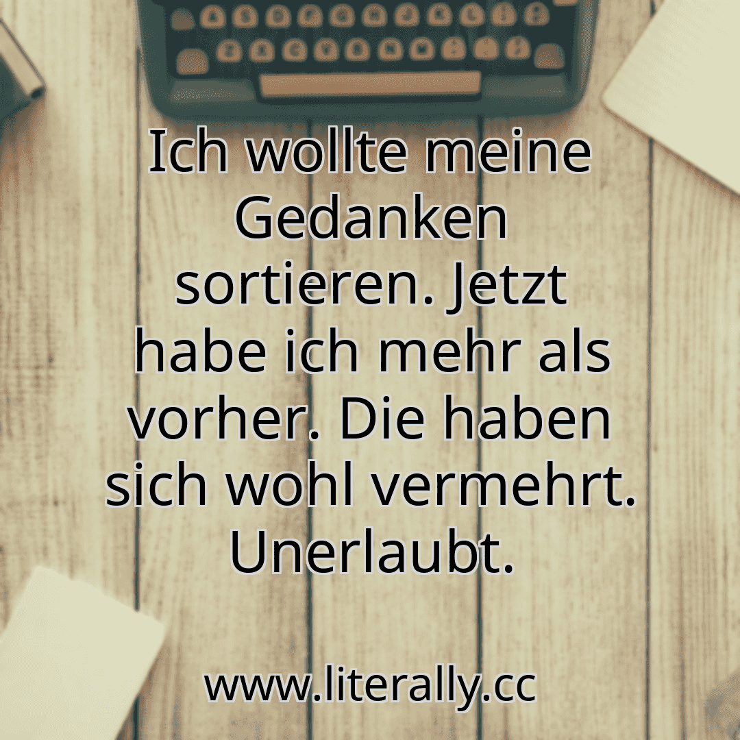 Ich wollte meine Gedanken sortieren. Jetzt habe ich mehr als vorher. Die haben sich wohl vermehrt. Unerlaubt.
