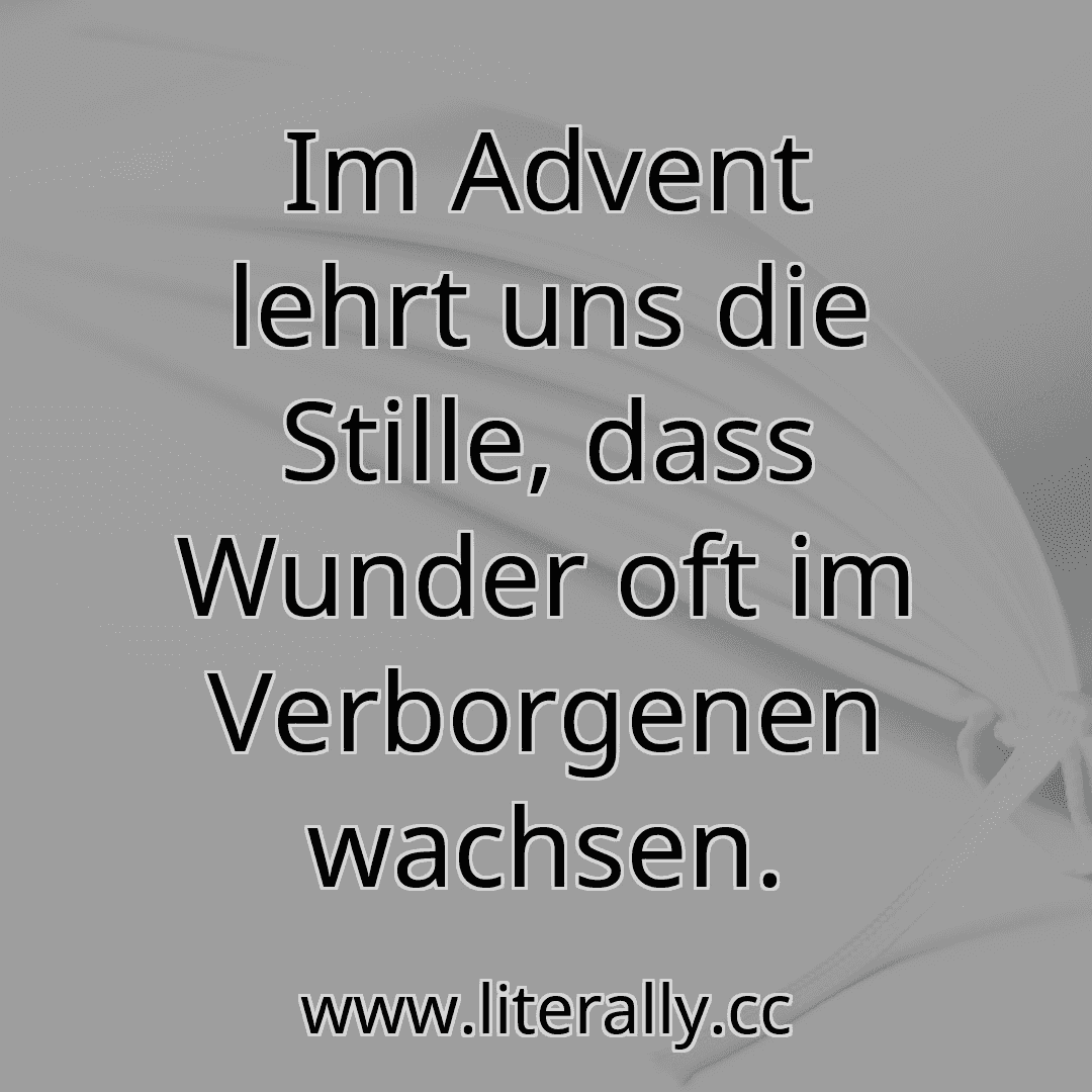 Im Advent lehrt uns die Stille, dass Wunder oft im Verborgenen wachsen.
