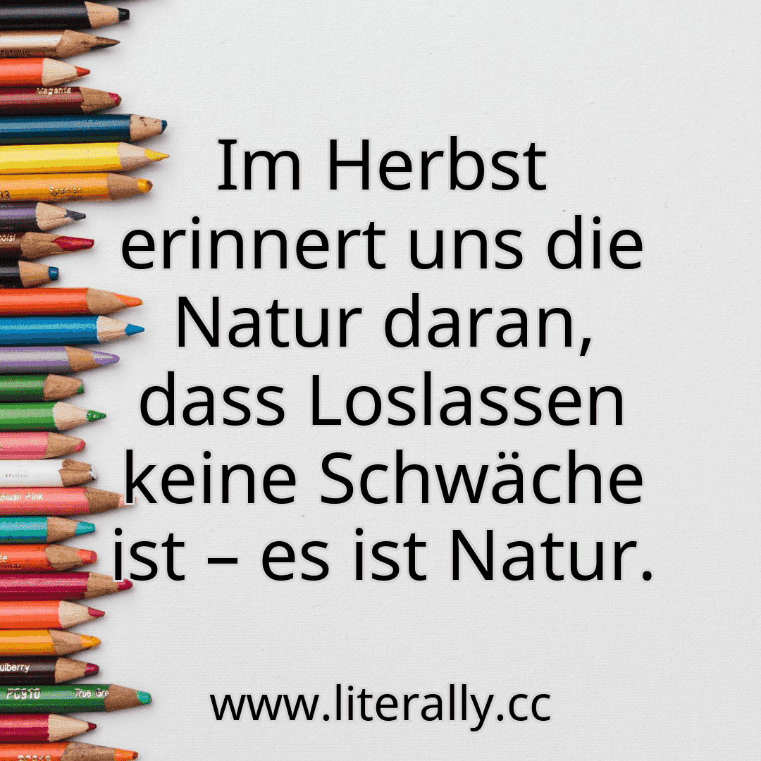 Im Herbst erinnert uns die Natur daran, dass Loslassen keine Schwäche ist – es ist Natur.
