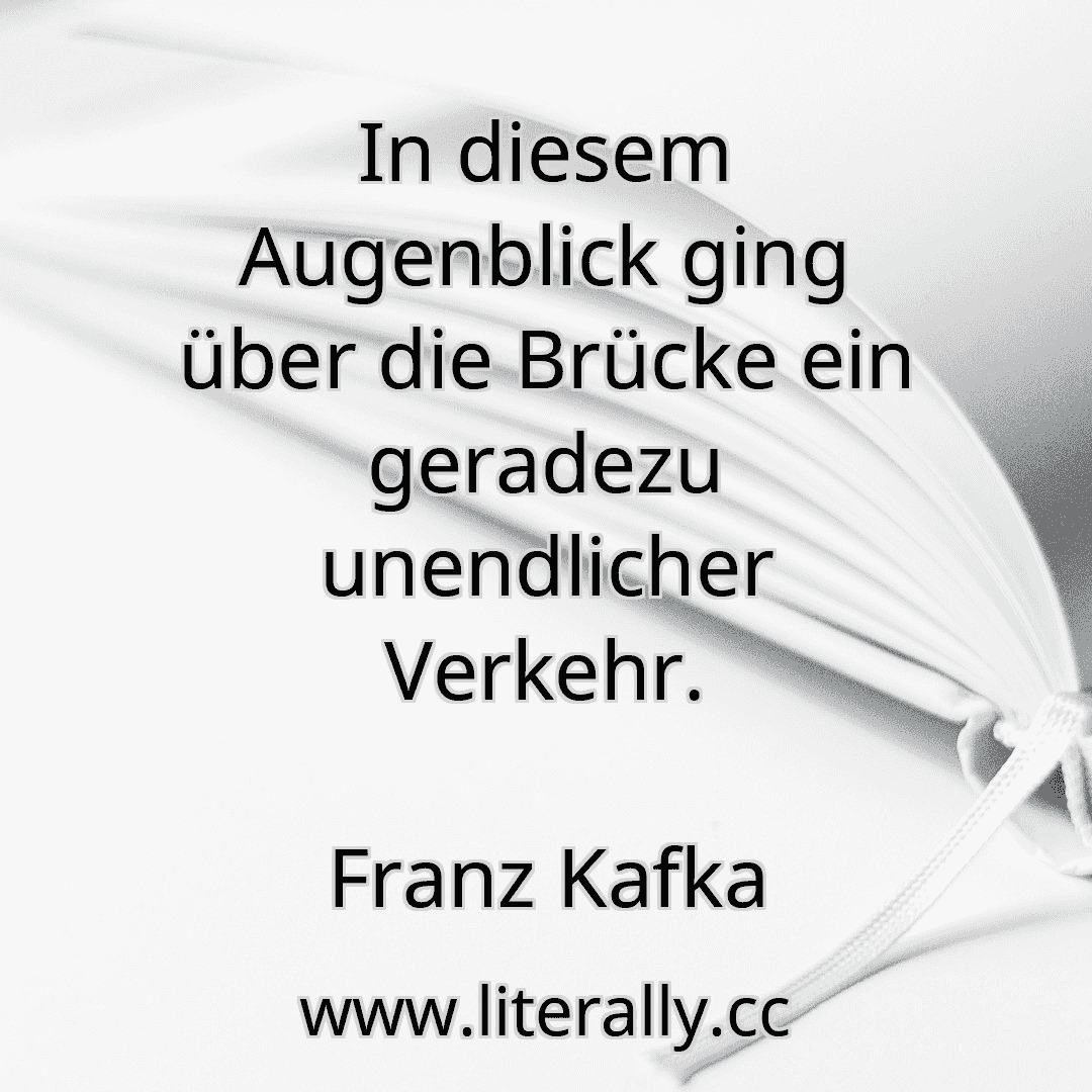 In diesem Augenblick ging über die Brücke ein geradezu unendlicher Verkehr.
Franz Kafka
