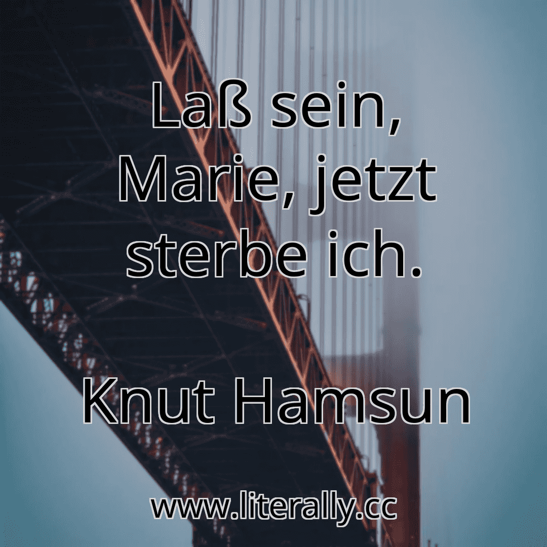Laß sein, Marie, jetzt sterbe ich.
Knut Hamsun
