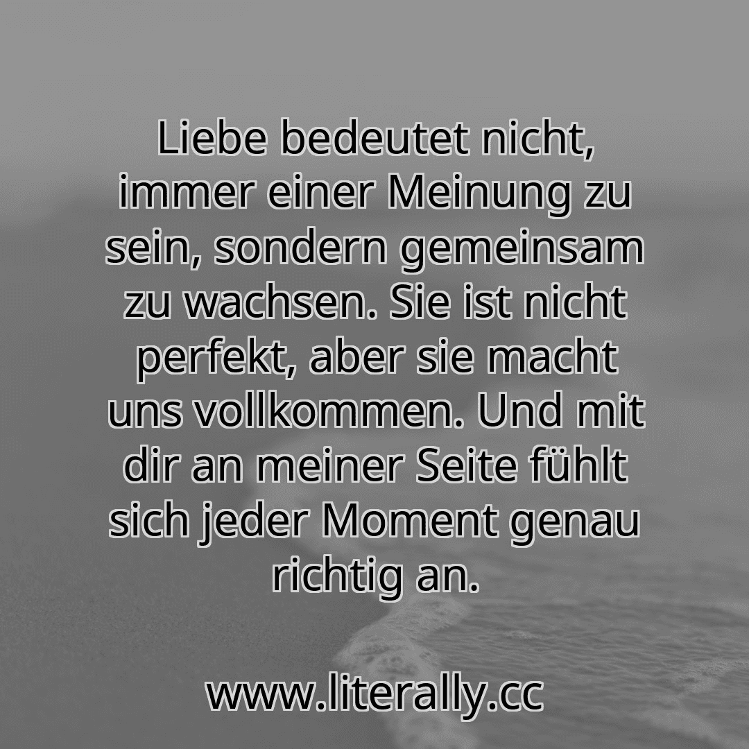 Liebe bedeutet nicht, immer einer Meinung zu sein, sondern gemeinsam zu wachsen. Sie ist nicht perfekt, aber sie macht uns vollkommen. Und mit dir an meiner Seite fühlt sich jeder Moment genau richtig an.
