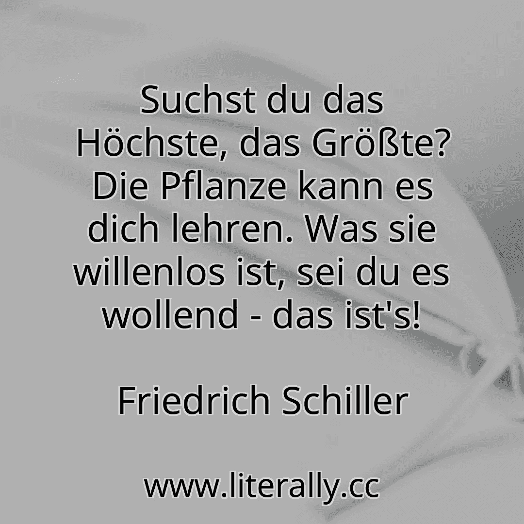Suchst du das Höchste, das Größte? Die Pflanze kann es dich lehren. Was sie willenlos ist, sei du es wollend - das ist's!
Friedrich Schiller
