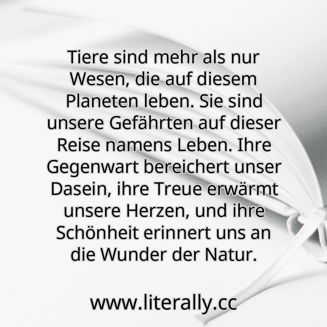 Tiere sind mehr als nur Wesen, die auf diesem Planeten leben. Sie sind unsere Gefährten auf dieser Reise namens Leben. Ihre Gegenwart bereichert unser Dasein, ihre Treue erwärmt unsere Herzen, und ihre Schönheit erinnert uns an die Wunder der Natur.
