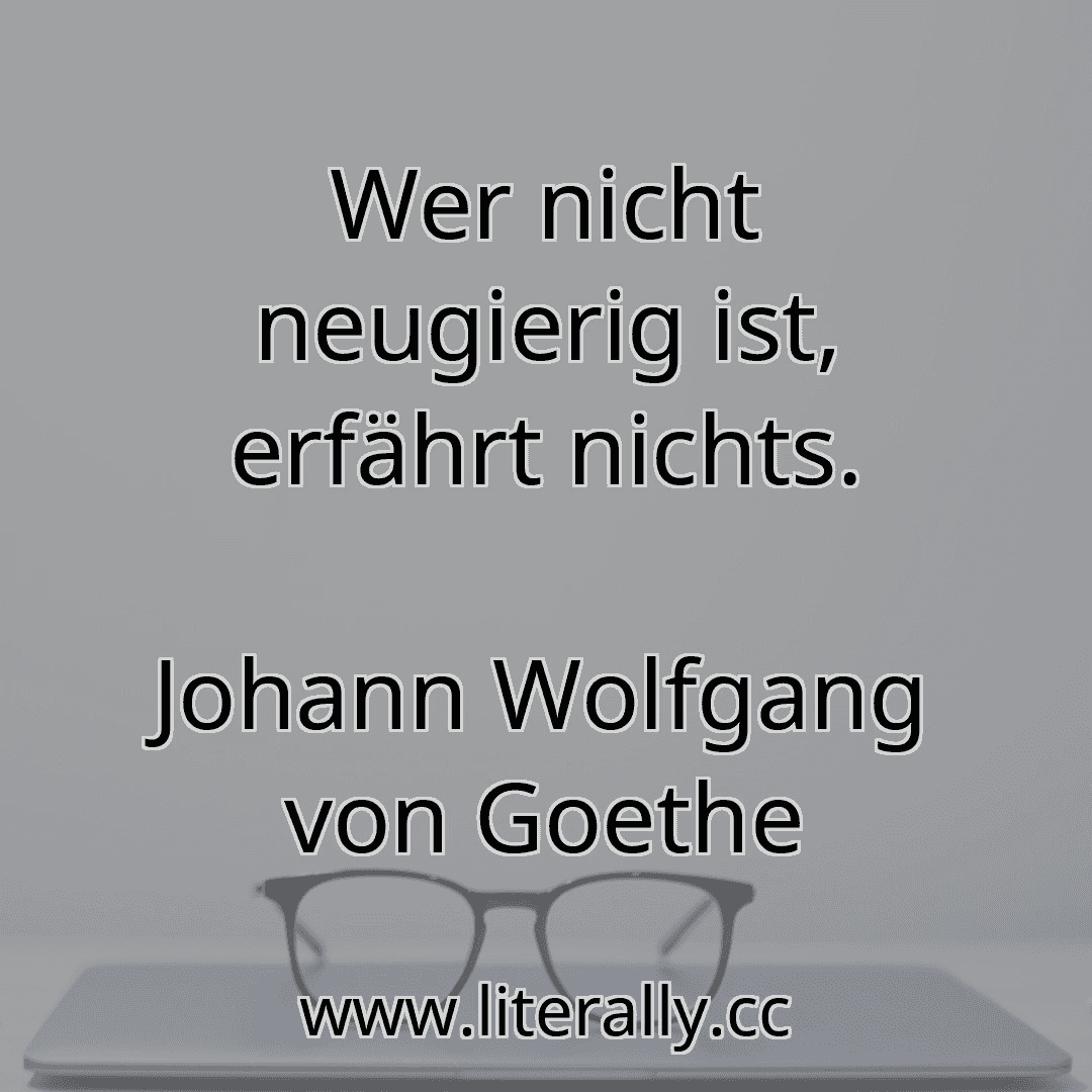 Wer nicht neugierig ist, erfährt nichts.
Johann Wolfgang von Goethe
