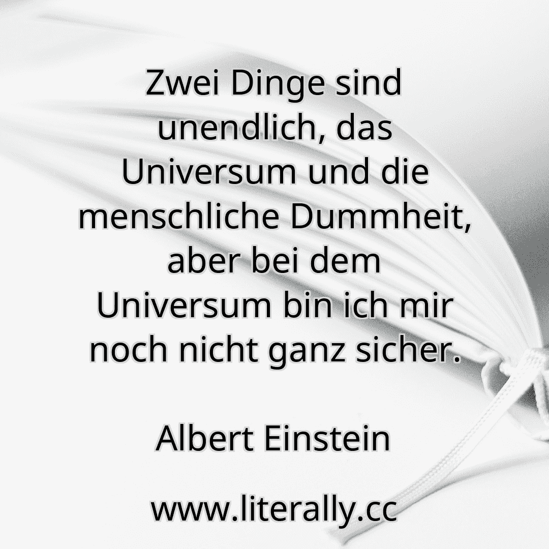 Zwei Dinge sind unendlich, das Universum und die menschliche Dummheit, aber bei dem Universum bin ich mir noch nicht ganz sicher.
Albert Einstein
