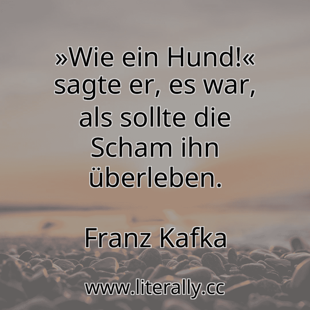 »Wie ein Hund!« sagte er, es war, als sollte die Scham ihn überleben.
Franz Kafka
