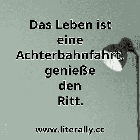 Das Leben ist eine Achterbahnfahrt, genieße den Ritt.

