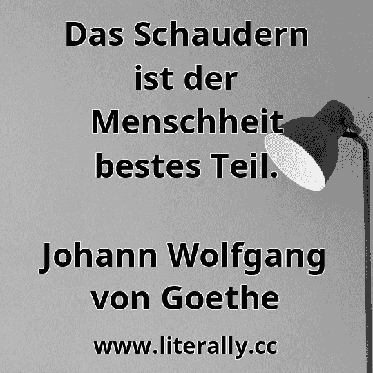 Das Schaudern ist der Menschheit bestes Teil.
Johann Wolfgang von Goethe
