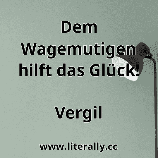 Dem Wagemutigen hilft das Glück!
Vergil
