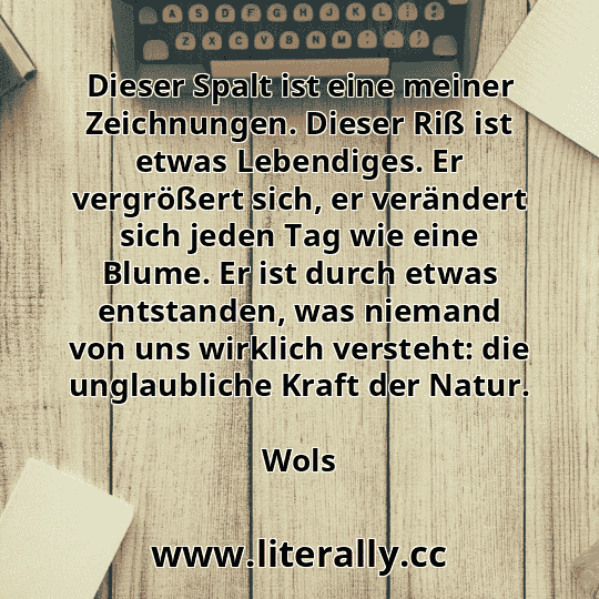 Dieser Spalt ist eine meiner Zeichnungen. Dieser Riß ist etwas Lebendiges. Er vergrößert sich, er verändert sich jeden Tag wie eine Blume. Er ist durch etwas entstanden, was niemand von uns wirklich versteht: die unglaubliche Kraft der Natur.
Wols
