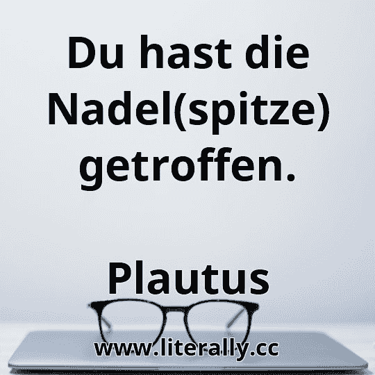 Du hast die Nadel(spitze) getroffen.
Plautus
