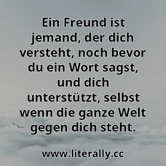 Ein Freund ist jemand, der dich versteht, noch bevor du ein Wort sagst, und dich unterstützt, selbst wenn die ganze Welt gegen dich steht.
