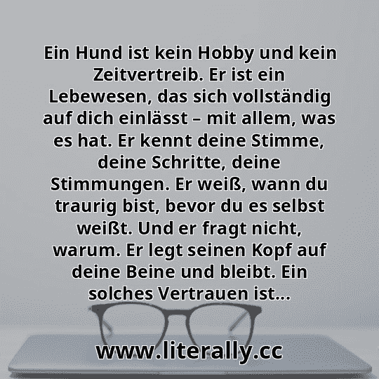 Ein Hund ist kein Hobby und kein Zeitvertreib. Er ist ein Lebewesen, das sich vollständig auf dich einlässt – mit allem, was es hat. Er kennt deine Stimme, deine Schritte, deine Stimmungen. Er weiß, wann du traurig bist, bevor du es selbst weißt. Und er fragt nicht, warum. Er legt seinen Kopf auf deine Beine und bleibt. Ein solches Vertrauen ist...
