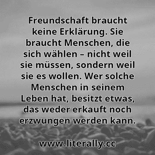 Freundschaft braucht keine Erklärung. Sie braucht Menschen, die sich wählen – nicht weil sie müssen, sondern weil sie es wollen. Wer solche Menschen in seinem Leben hat, besitzt etwas, das weder erkauft noch erzwungen werden kann.
