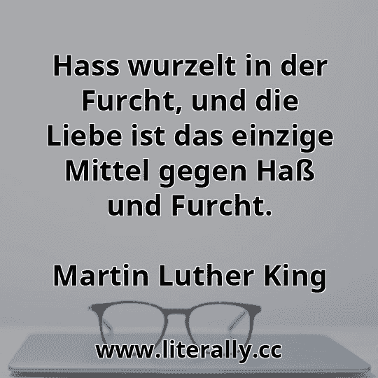 Hass wurzelt in der Furcht, und die Liebe ist das einzige Mittel gegen Haß und Furcht.
Martin Luther King
