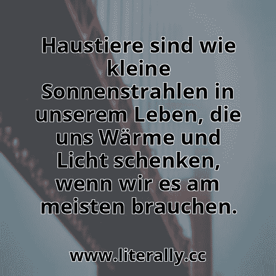 Haustiere sind wie kleine Sonnenstrahlen in unserem Leben, die uns Wärme und Licht schenken, wenn wir es am meisten brauchen.
Haustiere sind wie kleine Sonnenstrahlen in unserem Leben, die uns Wärme und Licht schenken, wenn wir es am meisten brauchen.