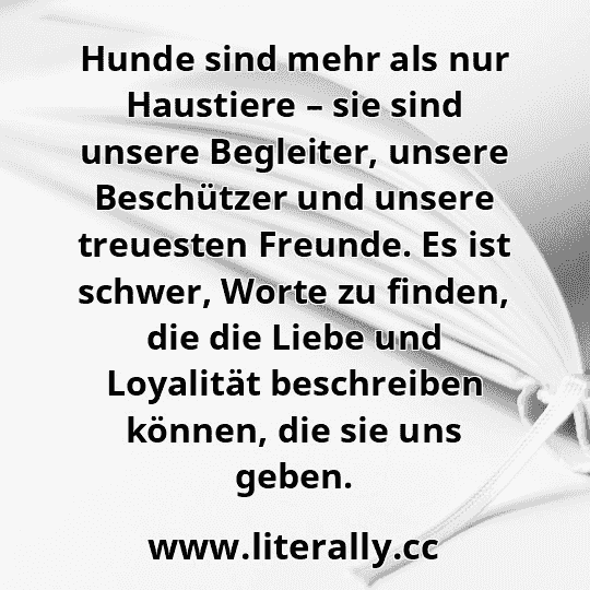Hunde sind mehr als nur Haustiere – sie sind unsere Begleiter, unsere Beschützer und unsere treuesten Freunde. Es ist schwer, Worte zu finden, die die Liebe und Loyalität beschreiben können, die sie uns geben.
